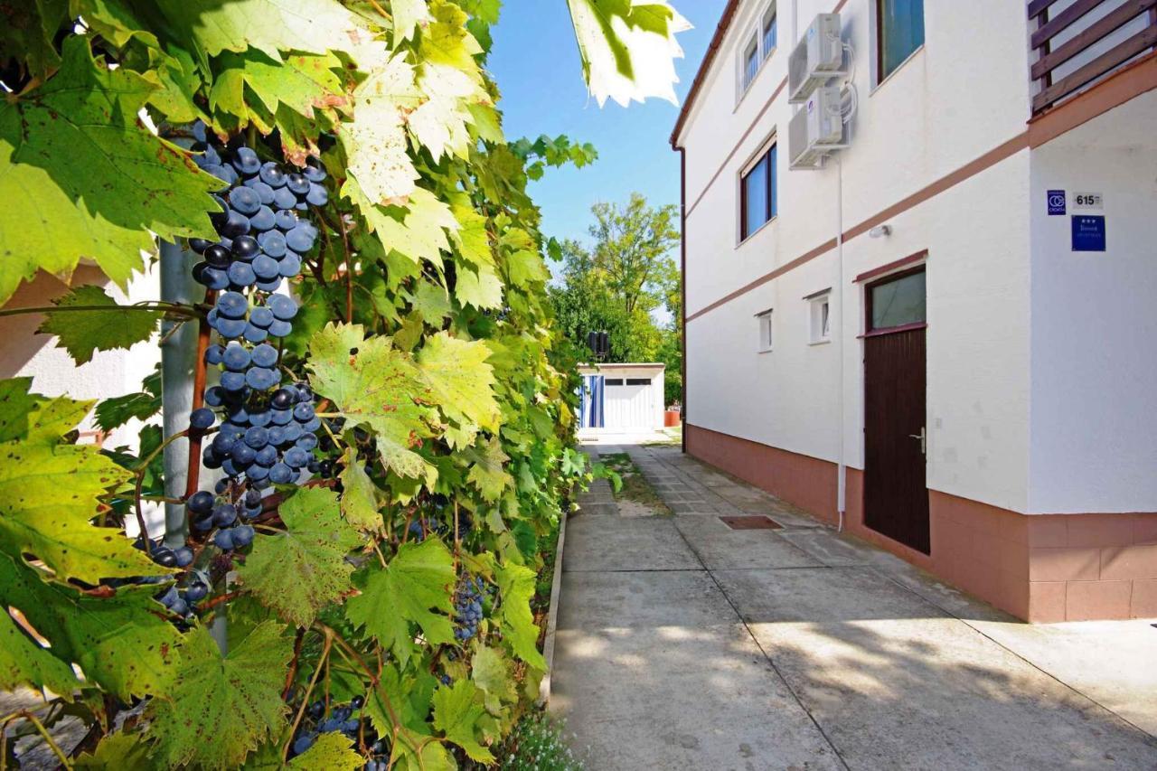 Apartments In Sabunike/Zadar Riviera 7812 Nin Dış mekan fotoğraf